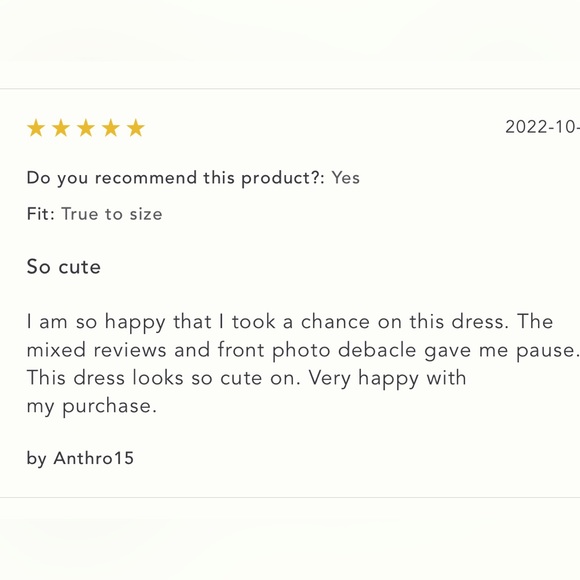 Sold .Anthropologie long sleeve Sheer Dress NWT - Picture 15 of 16